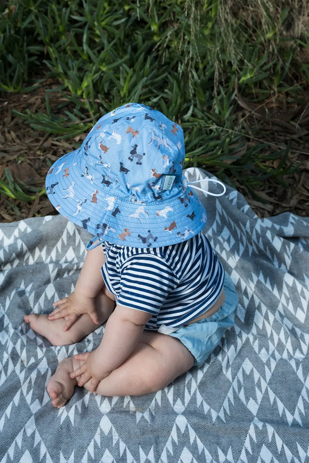 Central Park Doggies Wide Brim Infant Sunhat
