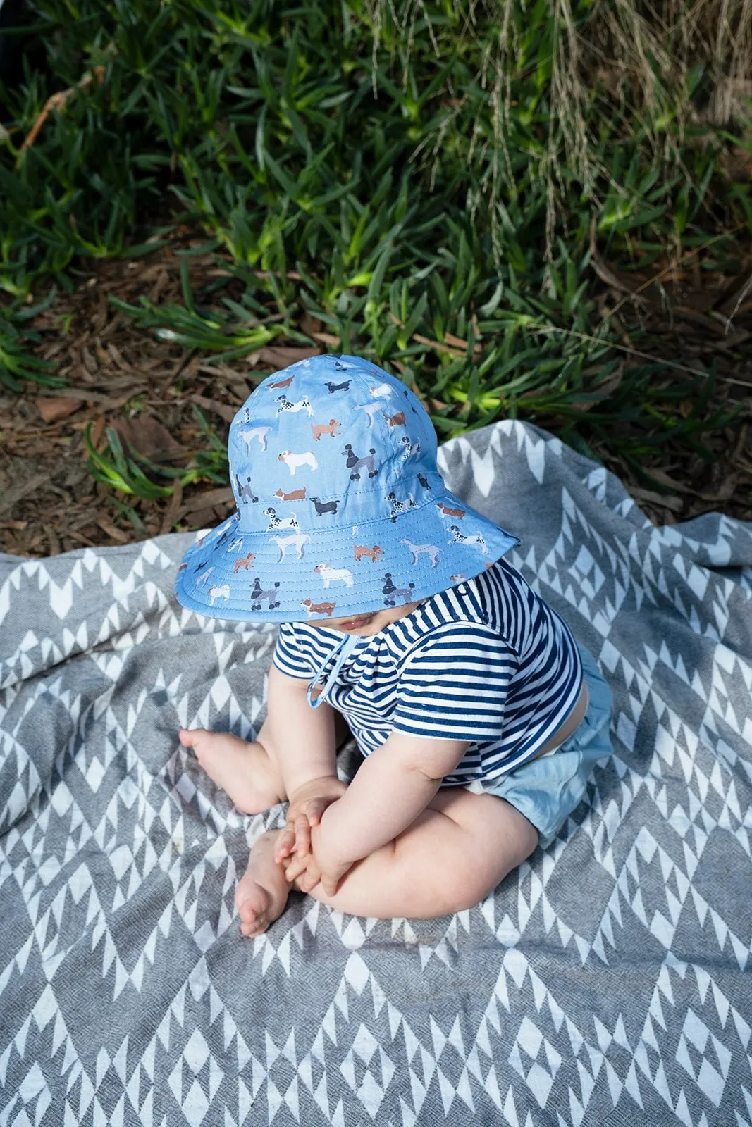 Central Park Doggies Wide Brim Infant Sunhat